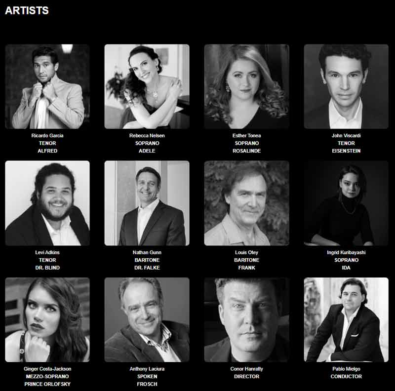 Die Fledermaus Artists