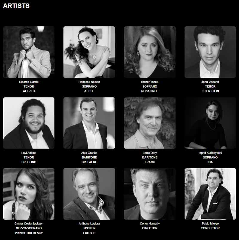 Die Fledermaus Artists